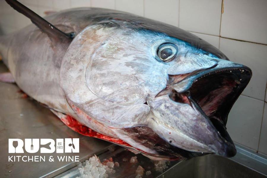 Rubin Kitchen&Wine Rooms Crikvenica Exterior foto